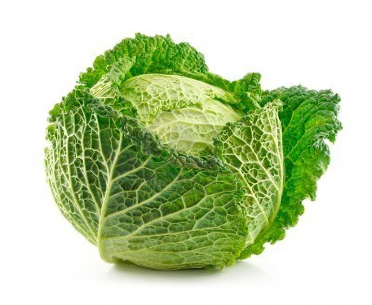 cabbage