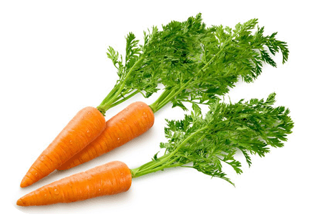 carrot